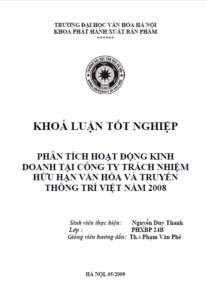 phan tich hoat dong kinh doanh tai cong ty trach nhiem huu han van hoa va truyen thong tri viet nam 2008