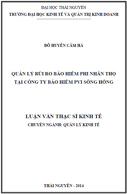 quan ly rui ro bao hiem phi nhan tho tai cong ty bao hiem pvi song hong