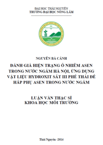 danh gia hien trang o nhiem asen trong nuoc ngam ha noi ung dung vat lieu hydroxit sat iii phe thai de hap phu asen trong nuoc ngam