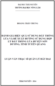 danh gia hieu qua su dung dat trong lua va de xuat huong su dung hop ly dat trong lua huyen son duong tinh tuyen quang