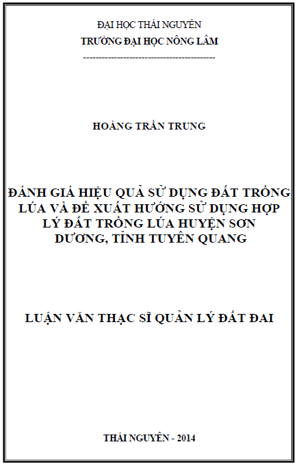 danh gia hieu qua su dung dat trong lua va de xuat huong su dung hop ly dat trong lua huyen son duong tinh tuyen quang