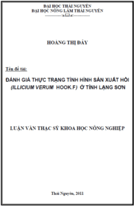 danh gia thuc trang tinh hinh san xuat hoi ilicium verum hook f o tinh lang son