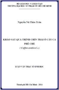 khao sat qua trinh chin trai o cay ca phe che coffea arabica l