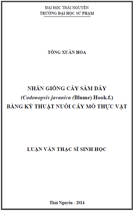nhan giong cay sam day codonopsis javanica blume hook f bang ky thuat nuoi cay mo thuc vat