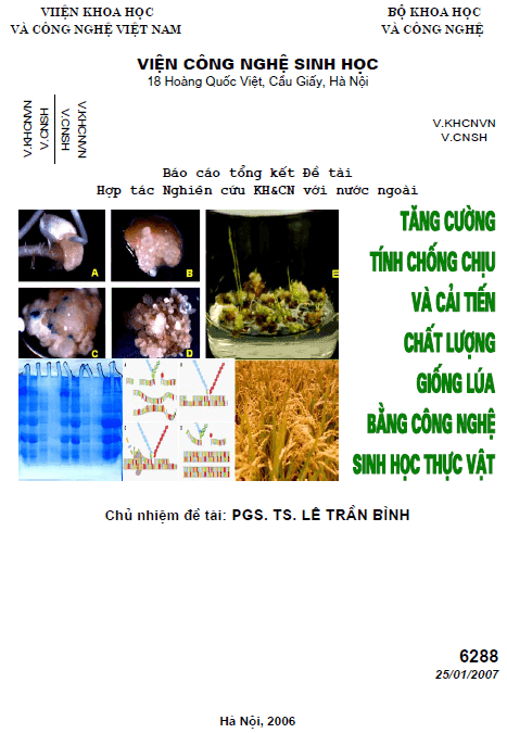 tang cuong tinh chong chiu va cai tien chat luong giong lua bang cong nghe sinh hoc thuc vat