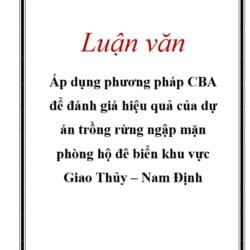 Anh chup man hinh 10 6 2025 14657 hmigninkgibhdckiaphhmbgcghochdjc