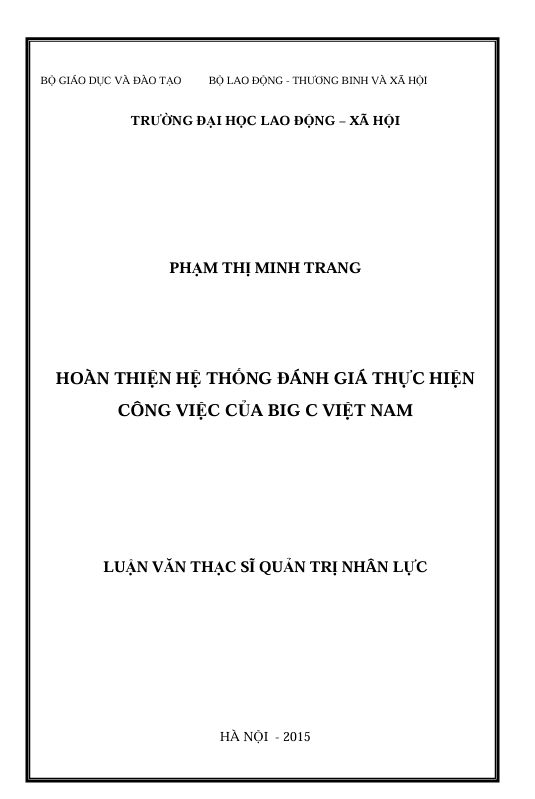 Hoàn thiện hệ thống đánh giá thực hiện công việc của Big C Việt Nam 1 Screenshot 2025 06 07 145005