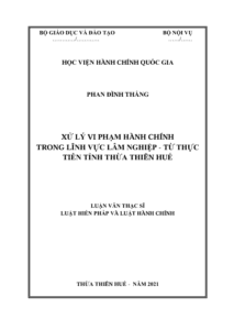 Screenshot 2025 06 15 145522