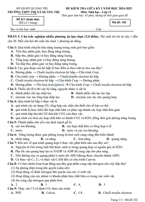 Anh chup man hinh 2025 07 09 101319