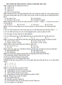 Anh chup man hinh 2025 07 10 120857