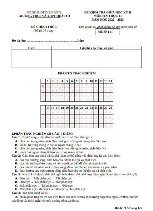 Đề thi giữa học kì 2 môn Sinh học lớp 11 năm 2022-2023 - Trường THPT Quài Tở, Điện Biên 1 Anh chup man hinh 2025 07 11 195717