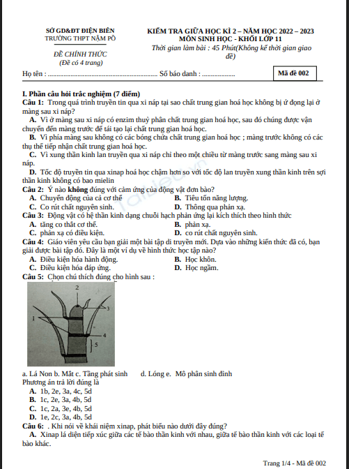Đề thi giữa học kì 2 môn Sinh học lớp 11 năm 2022-2023 - Trường THPT Nậm Pồ, Điện Biên 1 Anh chup man hinh 2025 07 11 195825