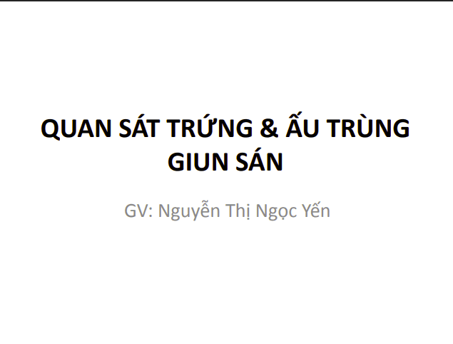 Anh chup man hinh 2025 07 13 162822