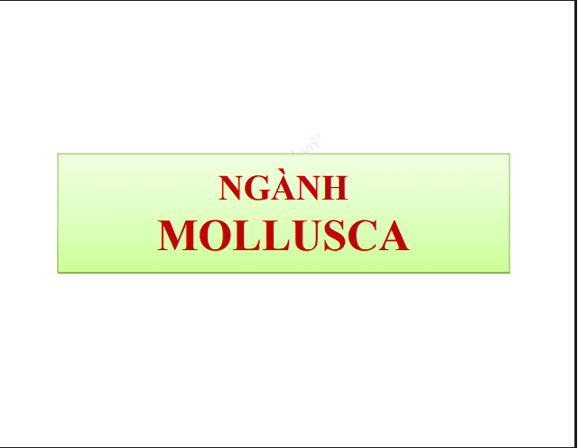 Anh chup man hinh 2025 07 13 182511