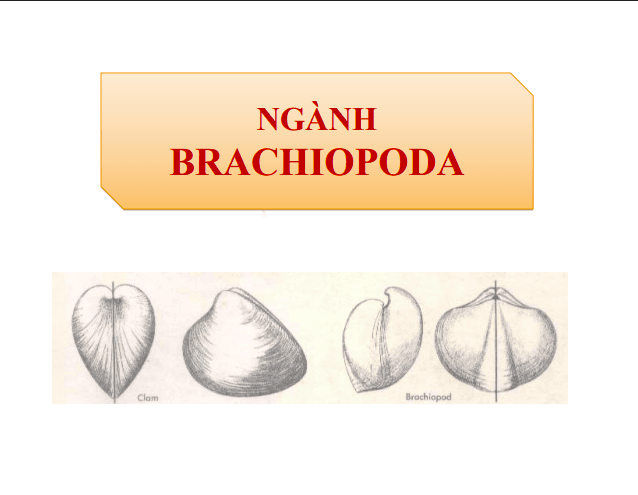 Anh chup man hinh 2025 07 13 182716
