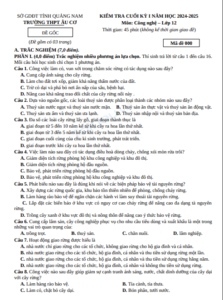 Anh chup man hinh 2025 07 19 100145