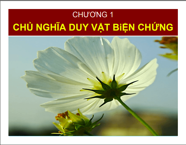 Anh chup man hinh 2025 07 19 183604
