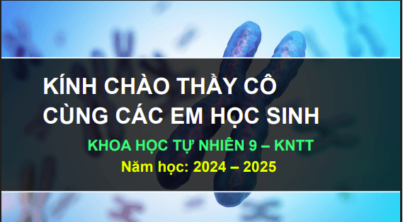 Anh chup man hinh 2025 07 30 173637