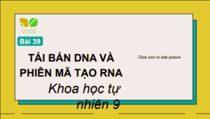 Anh chup man hinh 2025 07 30 174400