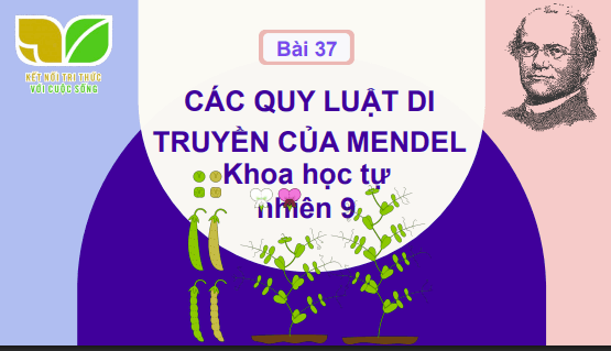 Anh chup man hinh 2025 07 30 174735