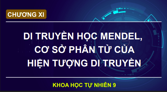 Anh chup man hinh 2025 07 30 174916