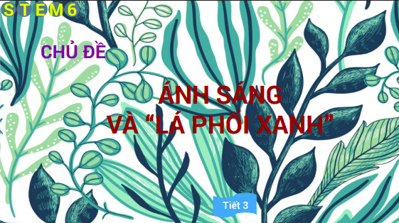 Anh chup man hinh 2025 07 30 175109