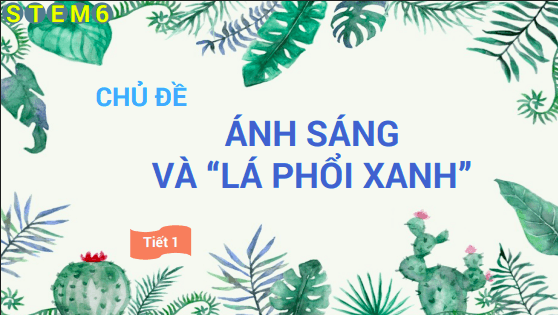 Anh chup man hinh 2025 07 30 175453