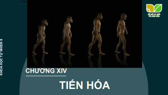 Anh chup man hinh 2025 07 30 180724