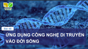 Anh chup man hinh 2025 07 30 180853