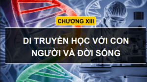 Anh chup man hinh 2025 07 30 181100