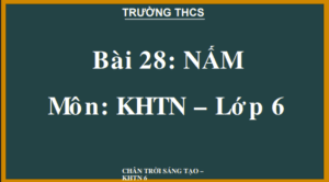 Anh chup man hinh 2025 07 30 191228