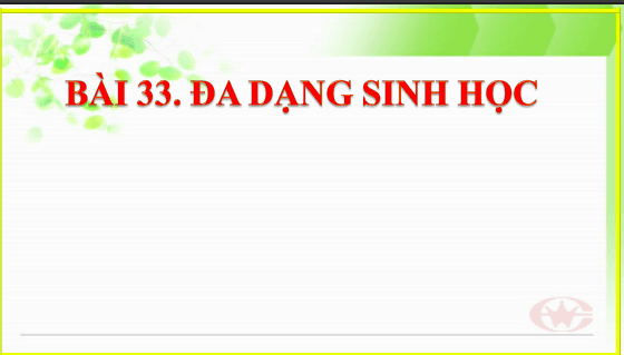 Anh chup man hinh 2025 07 30 194141