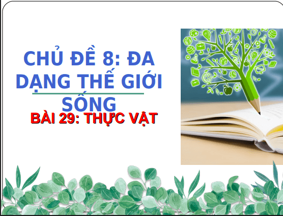 Anh chup man hinh 2025 07 30 194830