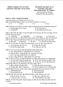 Screenshot 2025 07 02 095701