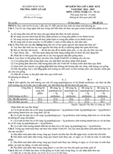 Screenshot 2025 07 02 172722