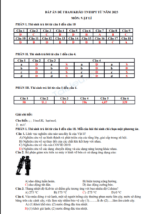 Screenshot 2025 07 02 191818