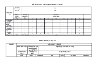 Screenshot 2025 07 03 092810