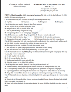 Screenshot 2025 07 03 110331