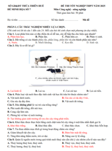 Screenshot 2025 07 03 114613