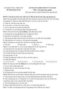 Screenshot 2025 07 03 162028