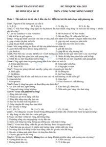 Screenshot 2025 07 03 162621