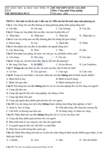 Screenshot 2025 07 03 162906