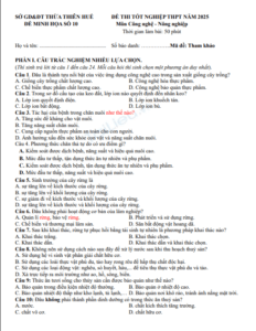 Screenshot 2025 07 03 163024