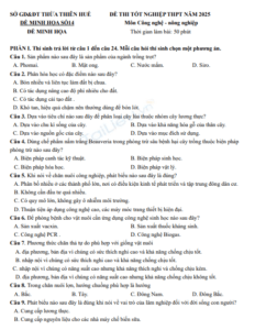 Screenshot 2025 07 03 165621