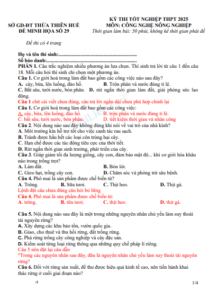 Screenshot 2025 07 03 170417