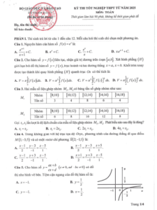 Screenshot 2025 07 03 174038