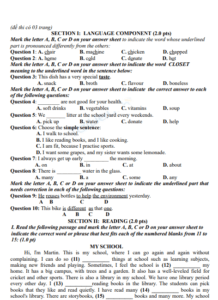 Screenshot 2025 07 07 174248