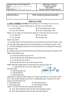 Screenshot 2025 07 07 174930