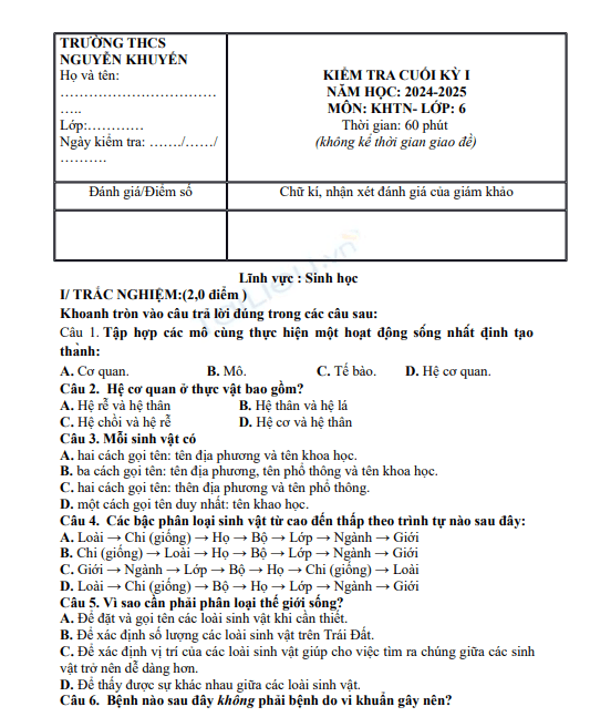 Screenshot 2025 07 07 175110