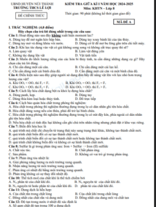 Screenshot 2025 07 07 213719